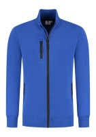 2748c Royal Blue