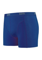 2748c Royal Blue